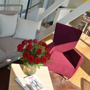 2016-03 Wohnung Storchennest Ess-und Wohnbereich mit Sonne (18)