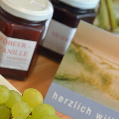 2016-03 Wohnung Storchennest Ess-und Wohnbereich ohne Sonne (16)