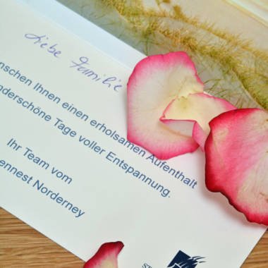 2016-03 Wohnung Storchennest Küche mit Essbereich (13)