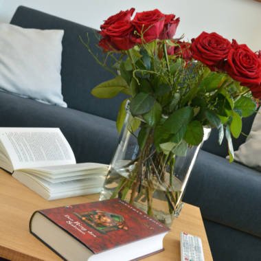 2016-03 Wohnzimmer Deichgraf (4)