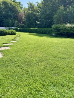 Großer Garten der Ferienwohnungen im Storchennest Norderney