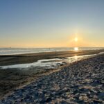 40 Jahre Nationalpark Wattenmeer – ein Grund zum Feiern auf Norderney